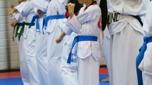 Kundengewinnung Kampfsport Kindertraining Taekwondo Gruppe mit Gürteln im Unterricht